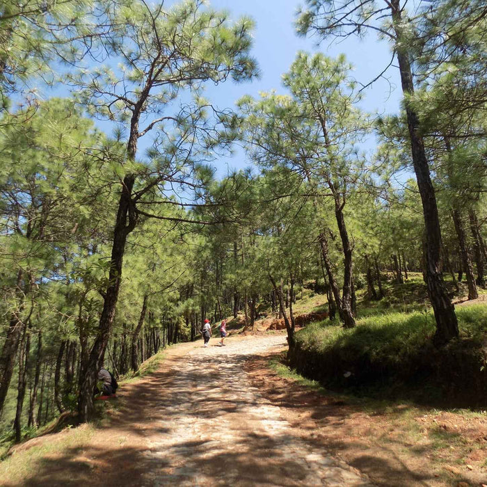 5 best hikes to get away from crowds