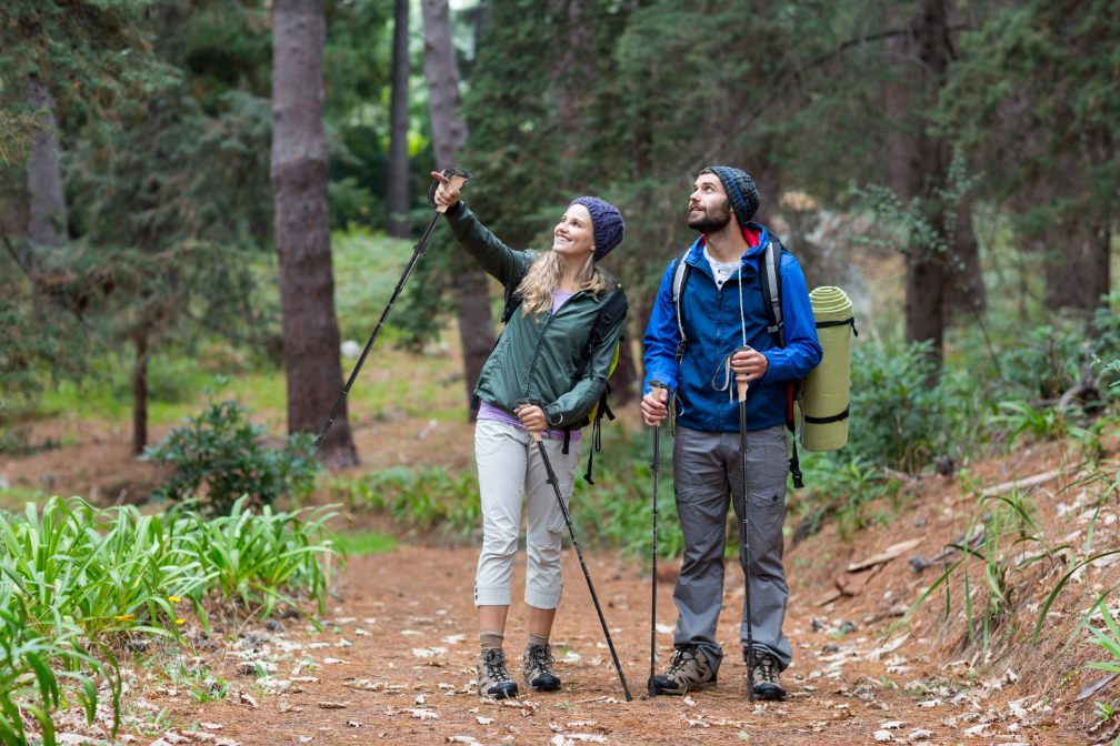 7 Surprising Benefits of Trekking Poles for 2025