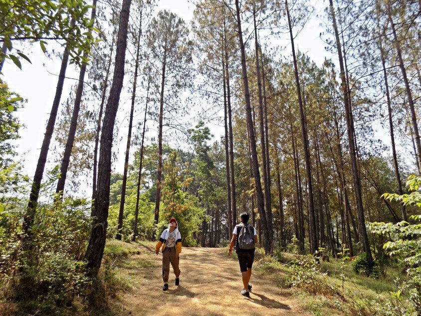 Hiking Etiquette: 7 Basic Rules To Keep In Mind