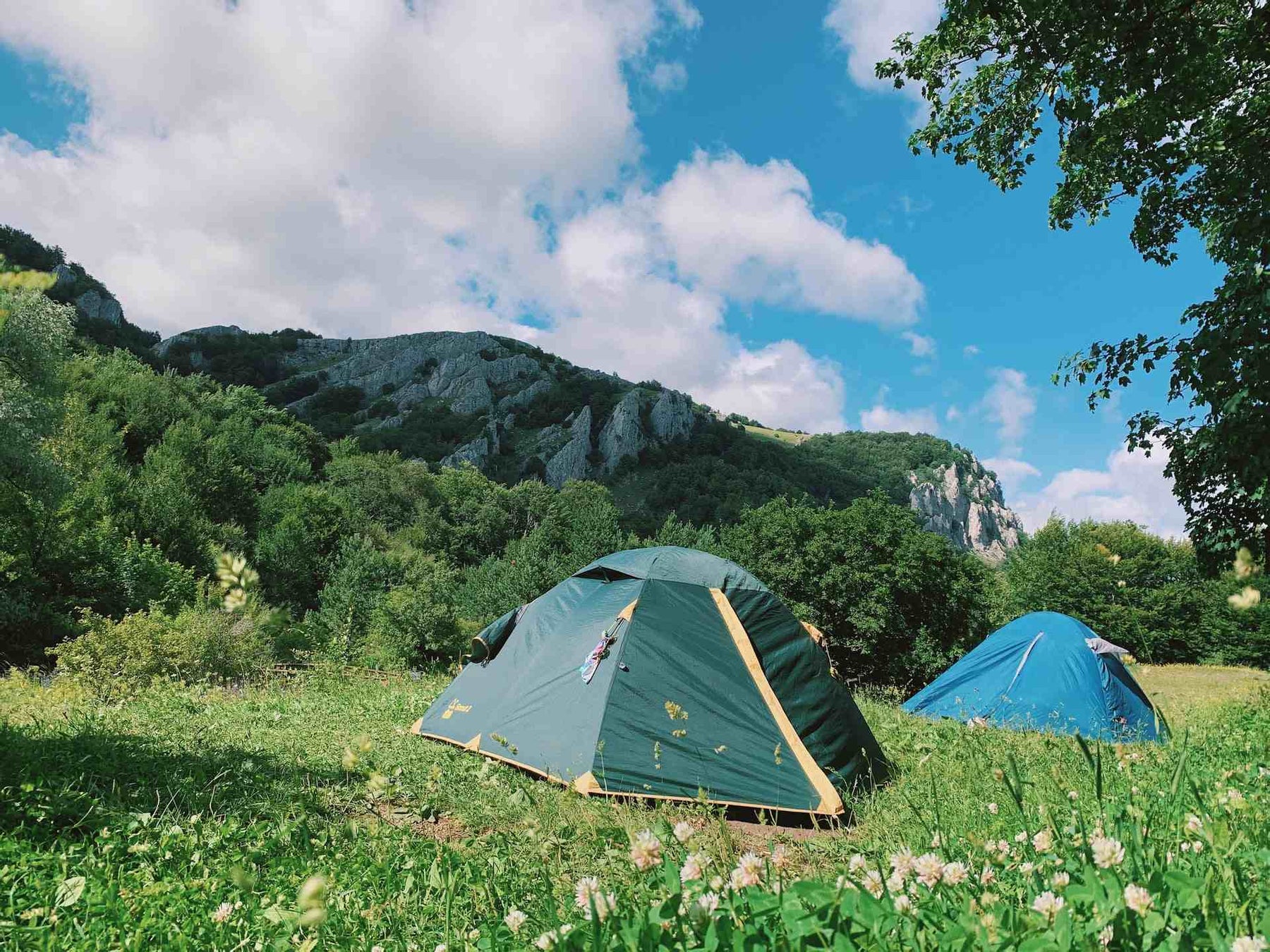 How to avoid bugs while camping?