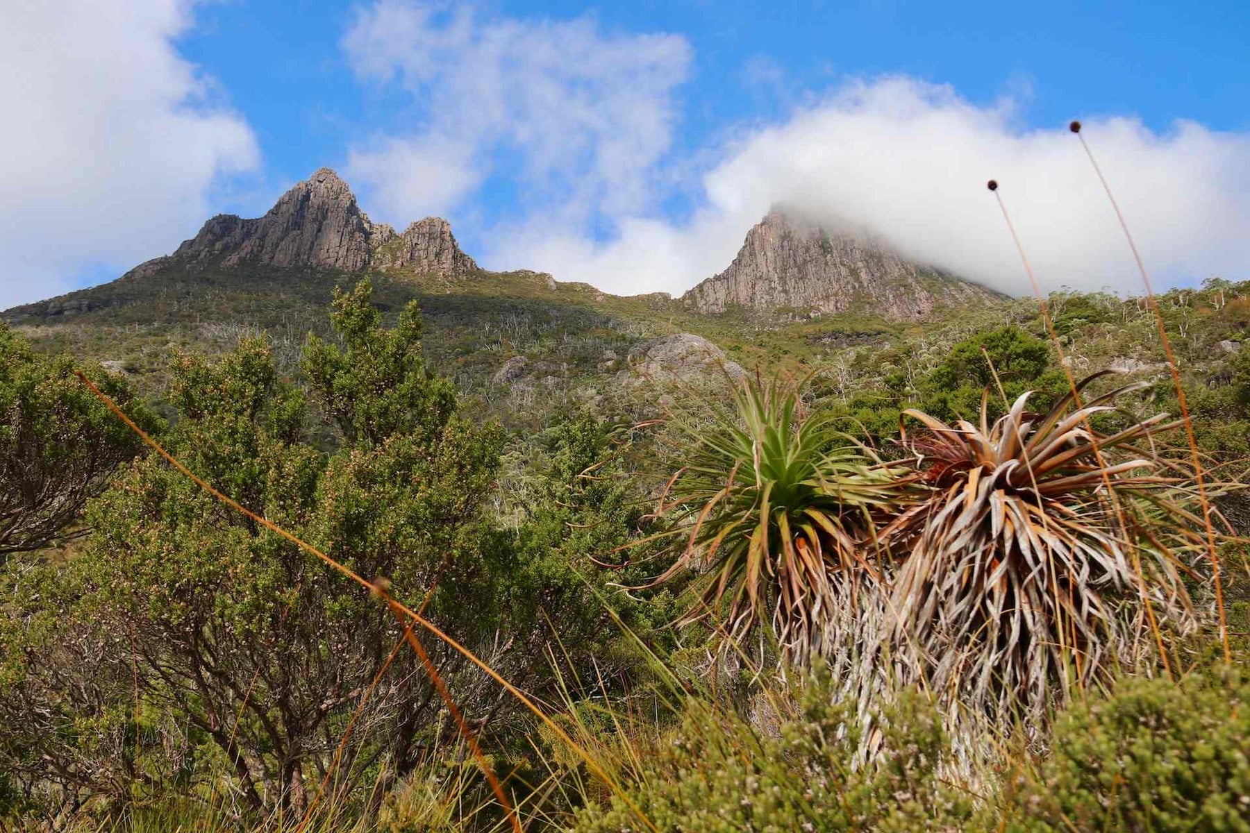 Best Hikes In Australia