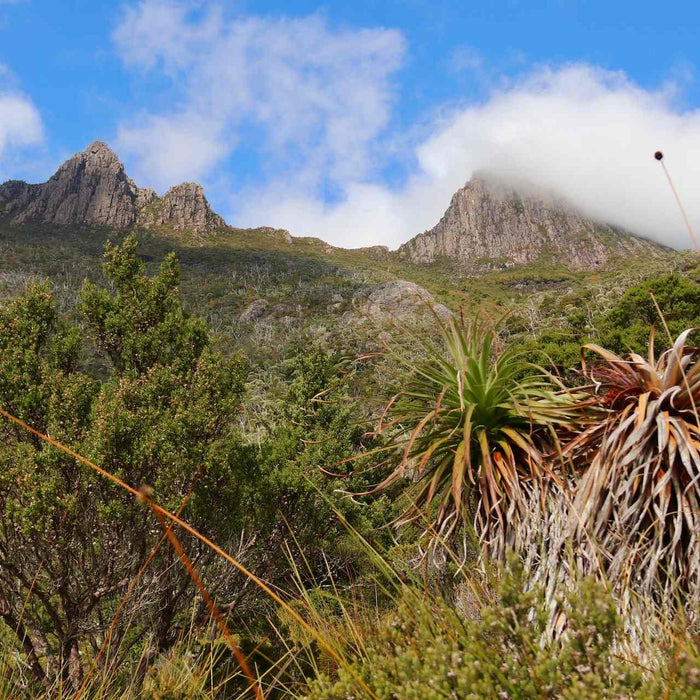 Best Hikes In Australia