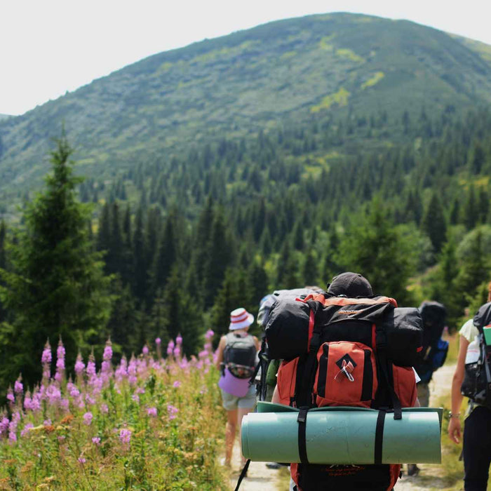 5 Must-Have Hiking Gears For Beginners