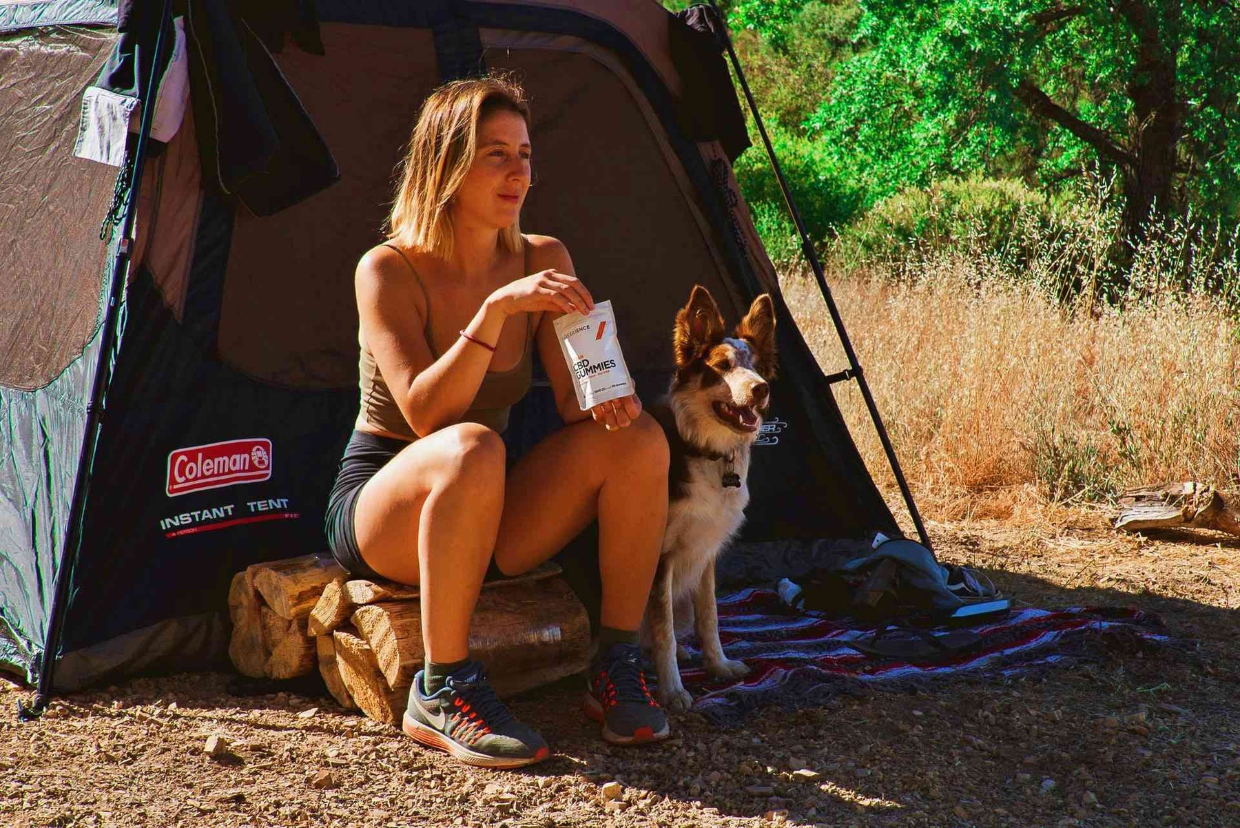 tips for camping with dogs