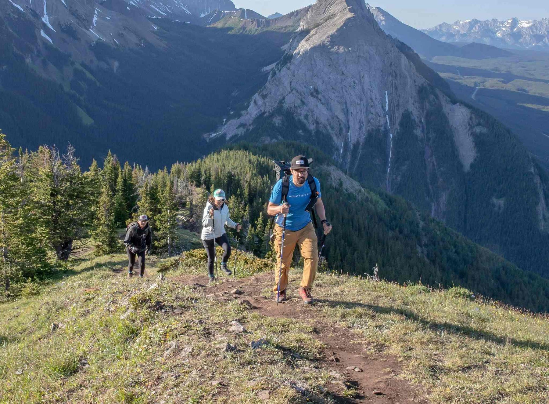 Do walking sticks help with knee pain?