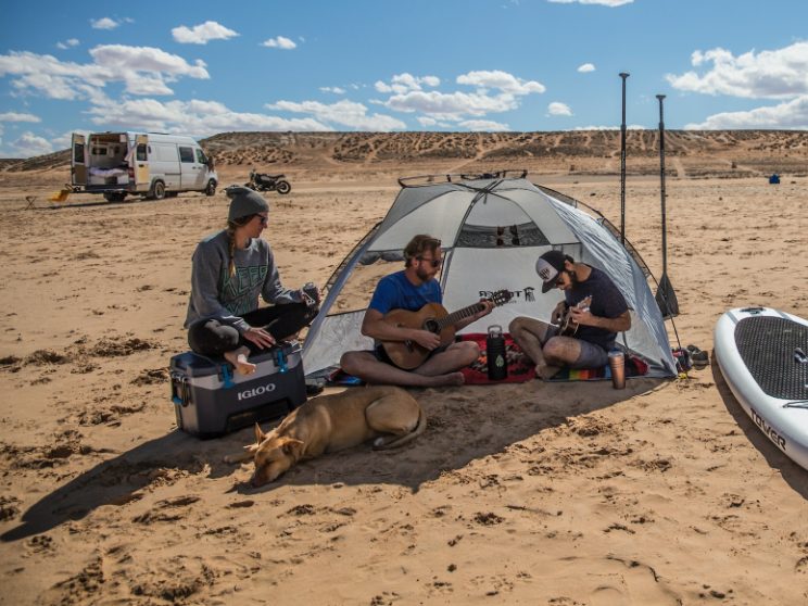 dog friendly campsites