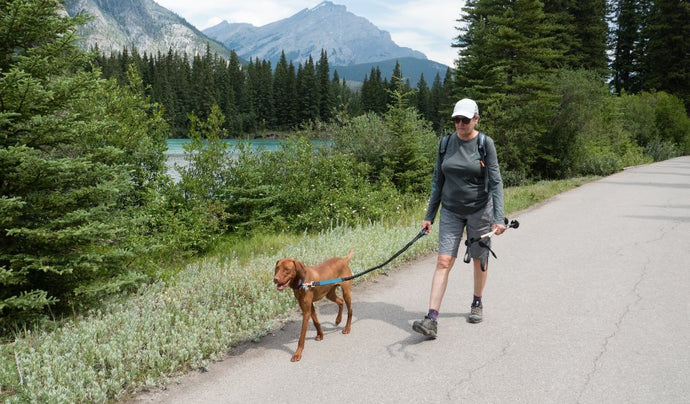 7 BEST DOG-FRIENDLY CAMPSITES IN CANADA