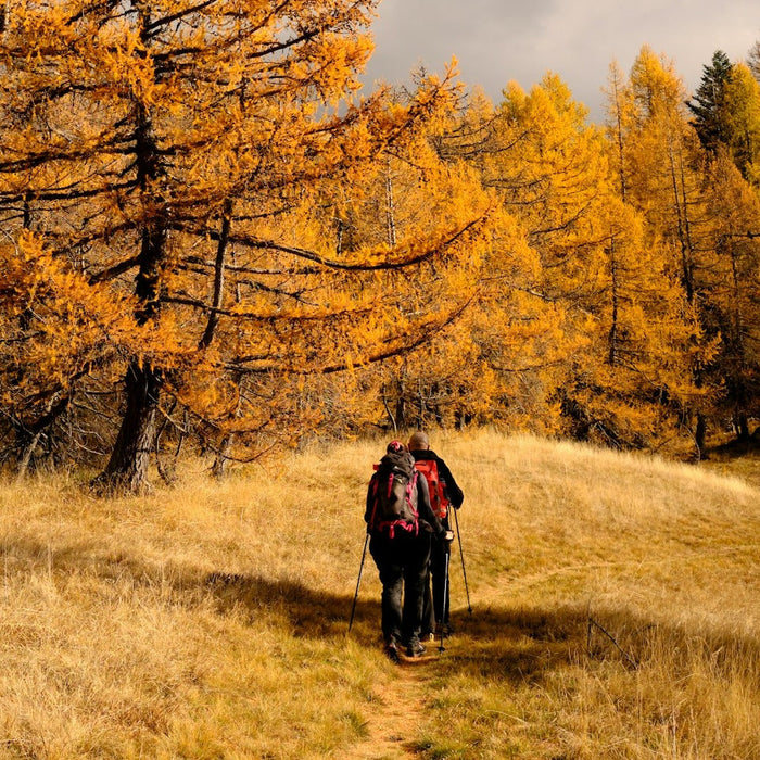 Outdoor Myth or Fact? Fall Edition