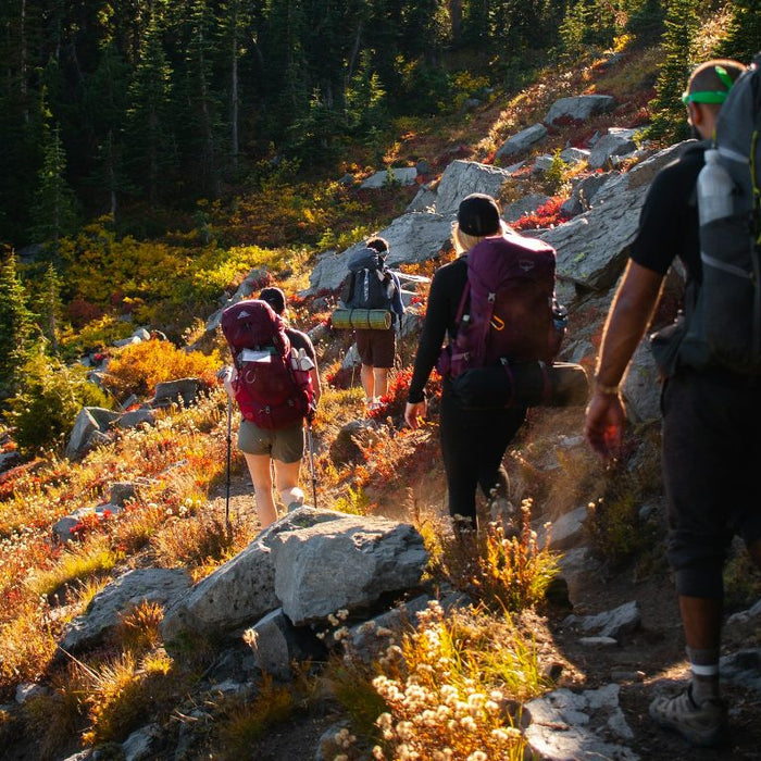 Which Fall Adventurer Are You? A 60-Second Outdoor Personality Quiz