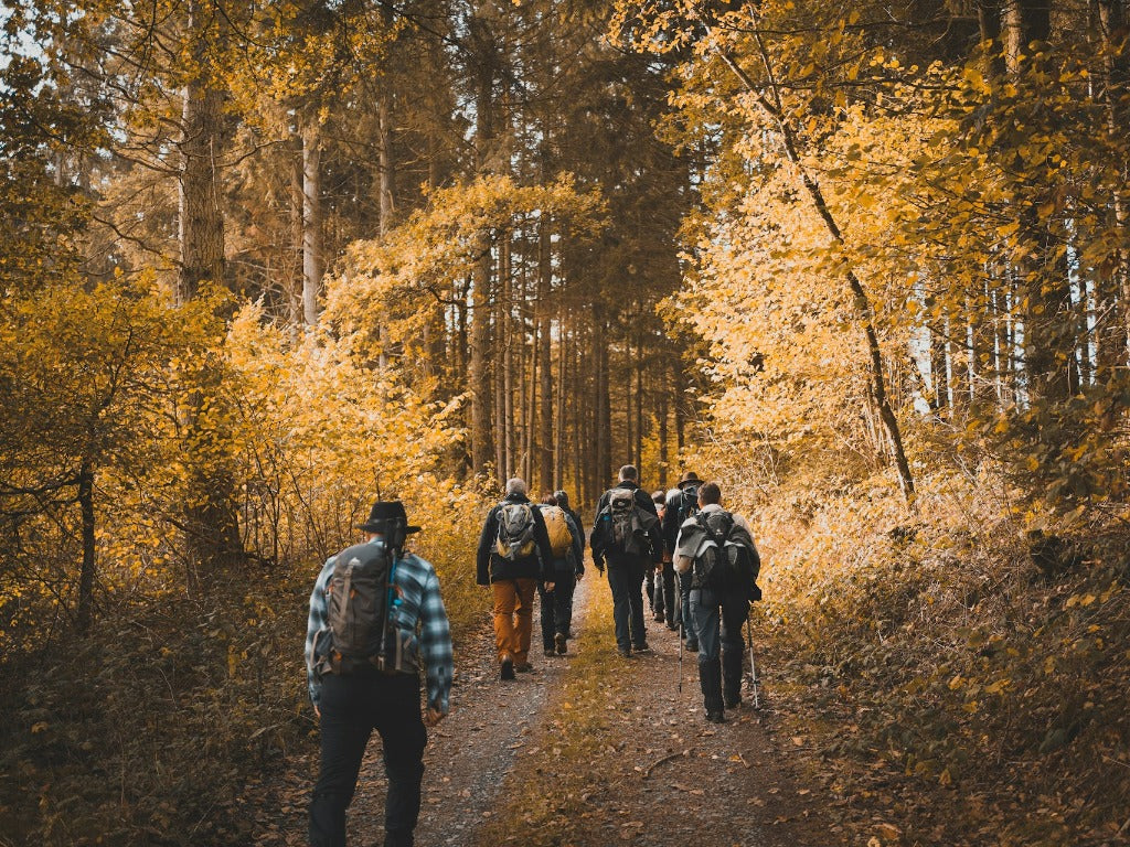 No Mountain? No Problem: 5 Fall Micro-Adventures Near Home