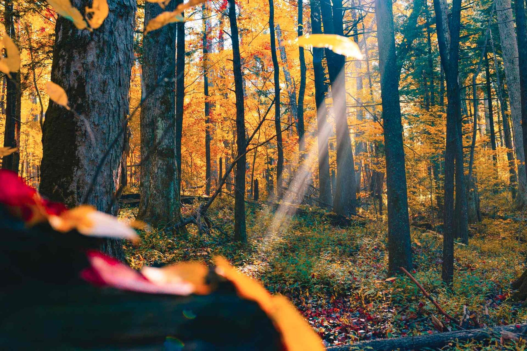 Fall Hiking Destinations In The US