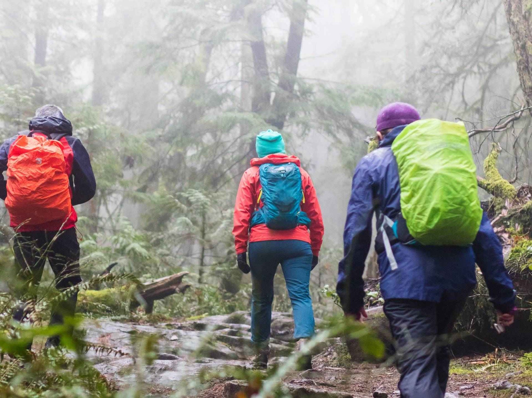 Hiking In The Rain