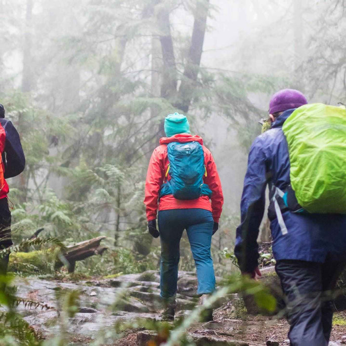 Hiking In The Rain