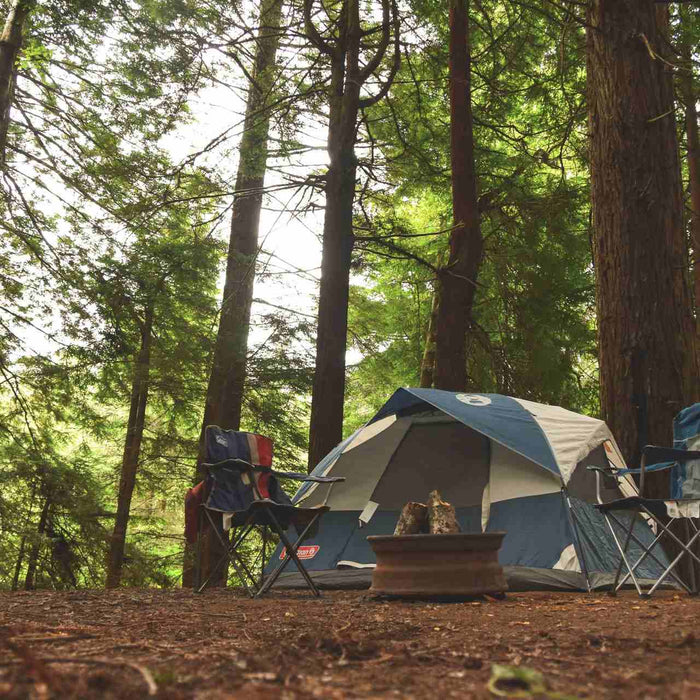 How to host a St. Patrick's Day campout?