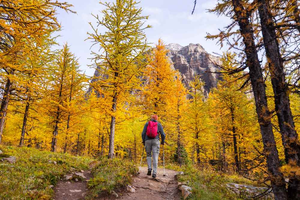 How To Plan The Perfect Fall Hike? — TREKOLOGY