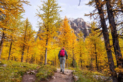 How To Plan The Perfect Fall Hike?