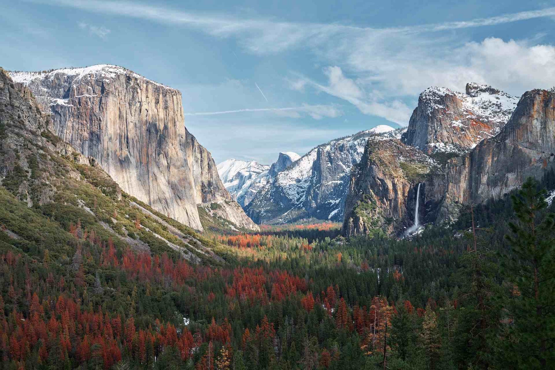 5 National Parks That You Can Virtually Visit