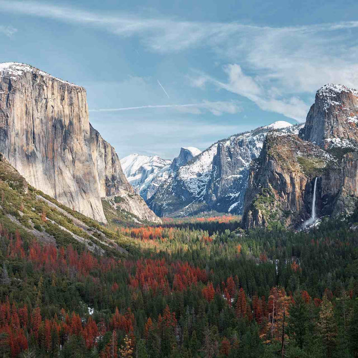 5 National Parks That You Can Virtually Visit