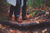 7 Best Fall Hiking Destinations In Canada