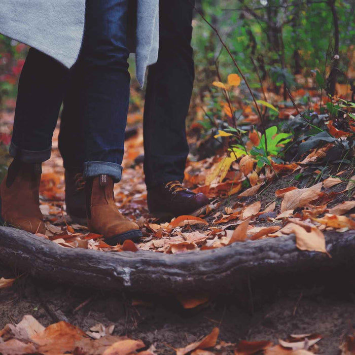 7 Best Fall Hiking Destinations In Canada