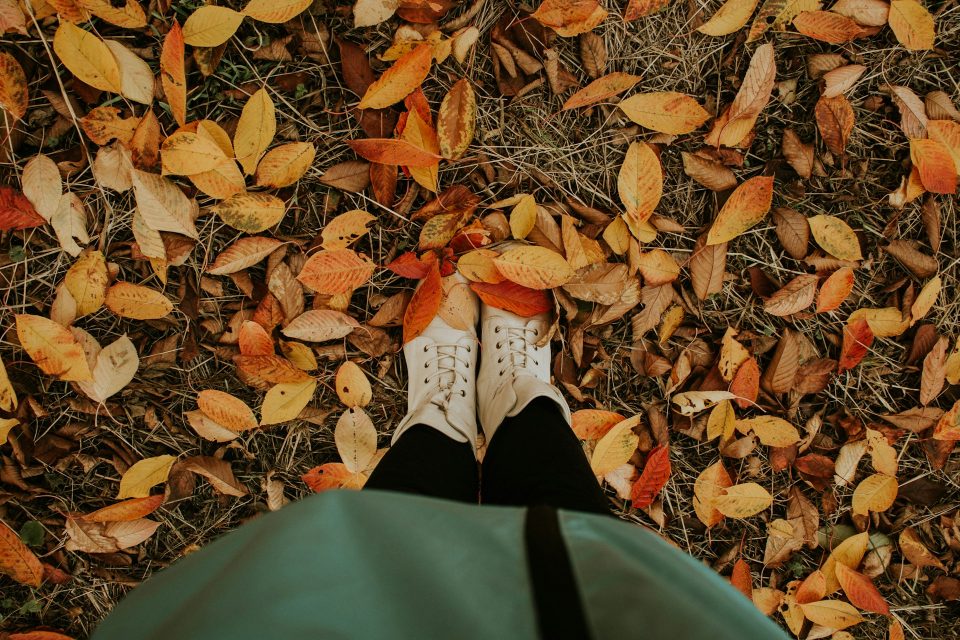 Outdoor Myth or Fact? Fall Edition